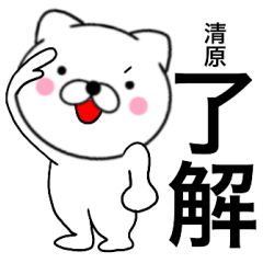 Name cat Kiyohara