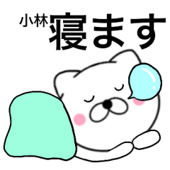 Name cat Kobayashi