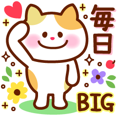 Colorful CAT every days BIG Sticker