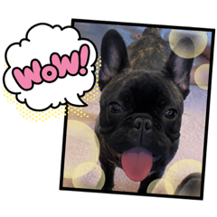 mizuki_20220219172355