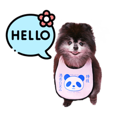 YUKA_20220219193929