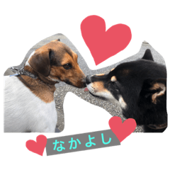 Alice_20220219220645