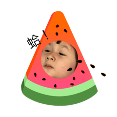 天蠍寶