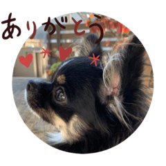 nanami_20220219150653