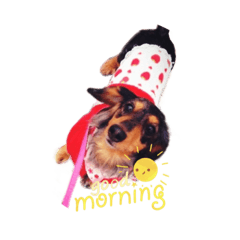 Nanami_20220220094341