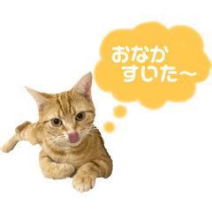 natsumi_20220219155520