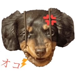 yun_20220220022602