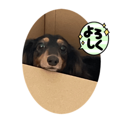 ayumi_20220220103200