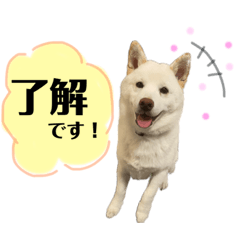 yuka_20220219233633