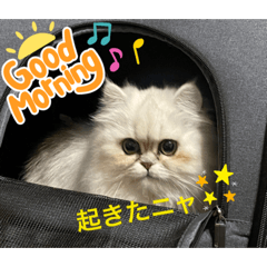 TOMOMI_20220220010839