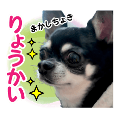 yukichi-kun-sticker