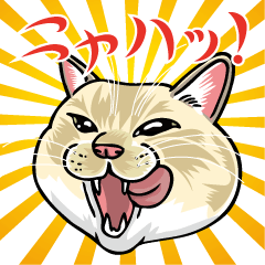 Kawaii Cats Easy to use Sticker