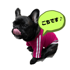 scoop_20220219150127