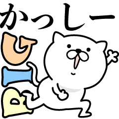 Pretty kitten KASSHI- Sticker [BIG]