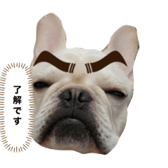 ayumi_20220219225415