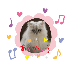 sakurako_20220219210342