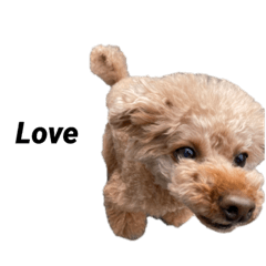 Tomomi_20220219212104