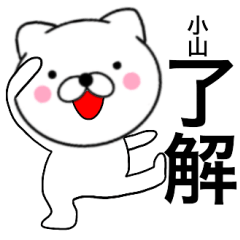 Name cat Koyama