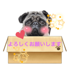 chie_20220220142935