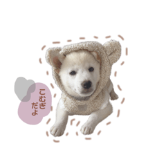 yuka_20220220144232