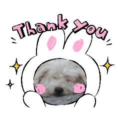 GRACE_20220220113444