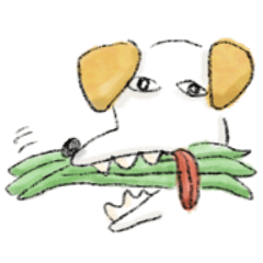 Heta-uma6 Jack Russell Terrier