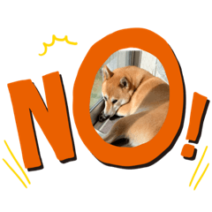 mamechan no nichijyo