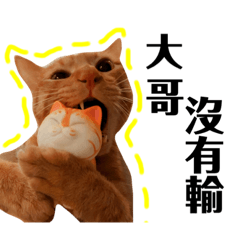 饅頭幹大事(〃▽〃)