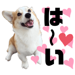 chisa_20220220153852