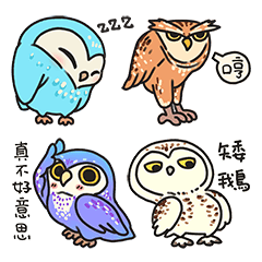 Talking bird2-owl(Chinese Version)