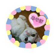 KOUMEMAMA