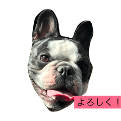 hikRu