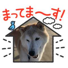 RIHO_20220220155920