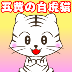 Year of White Tiger Cat