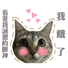 Merry與饅頭的相遇(*´з｀*)