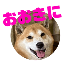 Konishiki  Co., Ltd._20220220164446