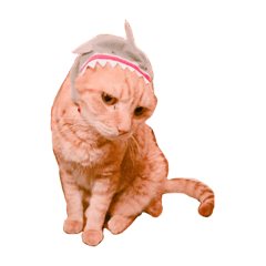 Troischats