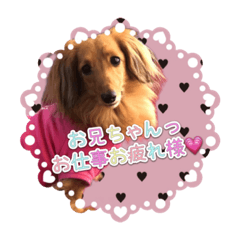 Nanami_20220220200049