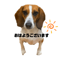 rina_20220220205916