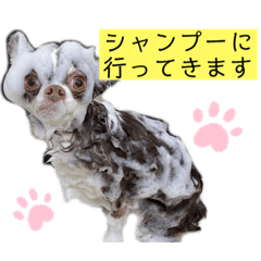 Tomomi_20220220215013