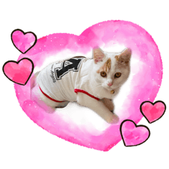 sayuri_20220220232244