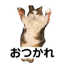 Conrad_20220221042857