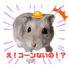 yun_20220220205629