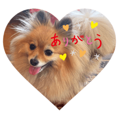 Himawari_20220220203451