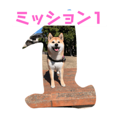 miki_20220220194204