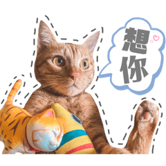 饅頭幹大事٩(ˊᗜˋ*)و