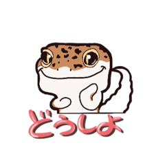 leopard gecko nitijyou
