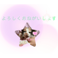 Himawari_20220220211212