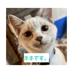 matsu_20220220232321