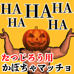 Tatsujirou Pumpkin macho